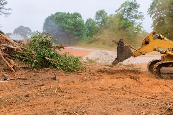 Forestry Mulching Service in Kalispell