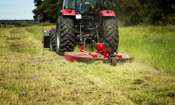 Brush Clearing Service in Kalispell