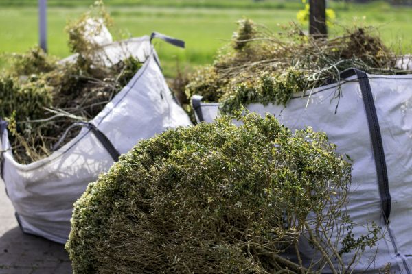 Bushes Clearing in Kalispell