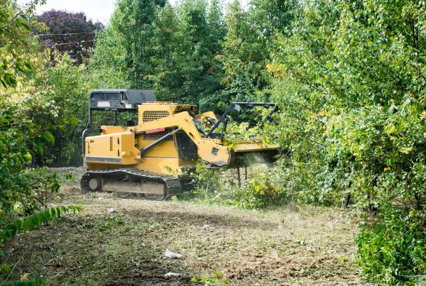 Pathway Clearing in Kalispell