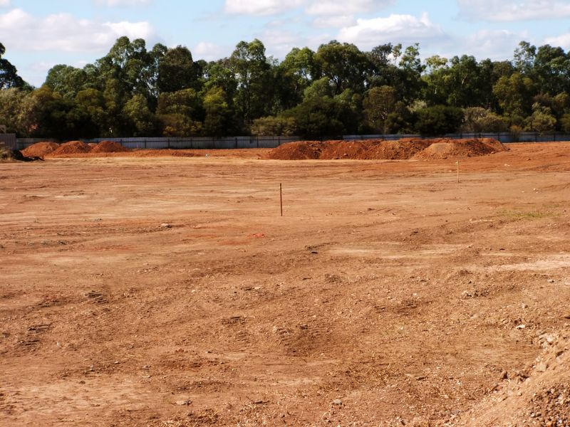 Commercial Land Clearing detail