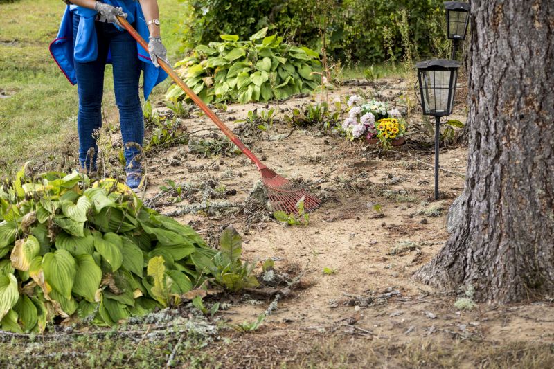 Clearing and Grading